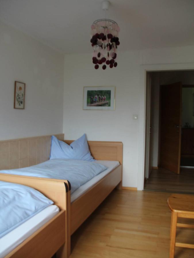 Ferienwohnung Laserer غوساو المظهر الخارجي الصورة
